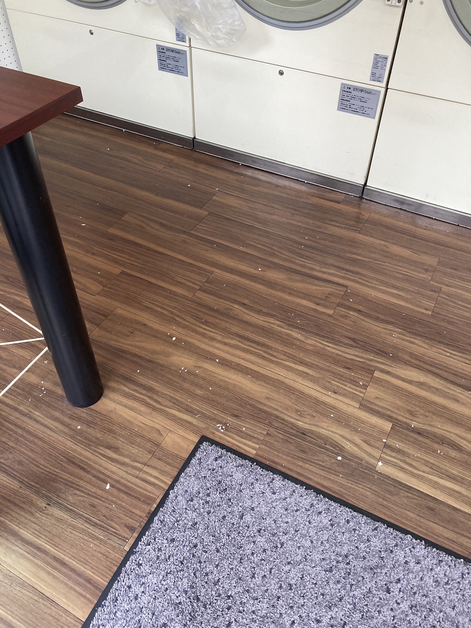 侍スライス 加藤 前に使った人ポケットにレシート入れたまま洗濯しちゃったでちゅか T Co 2dif793gxq Twitter