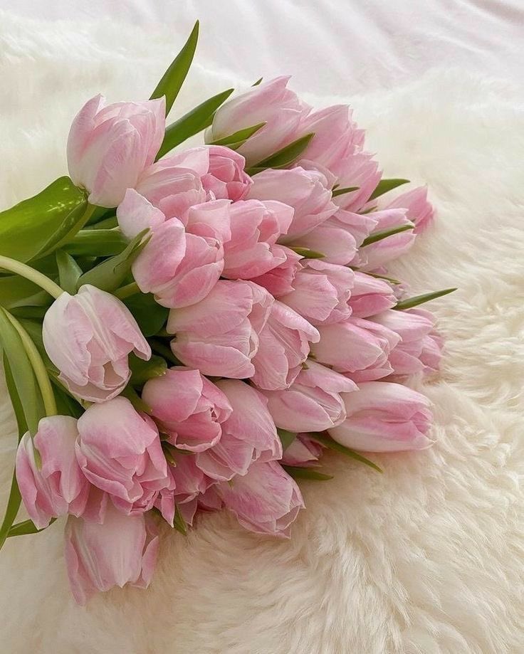 SelectOutfit's tweet photo. pink tulips https://t.co/Nnb2XLdVus