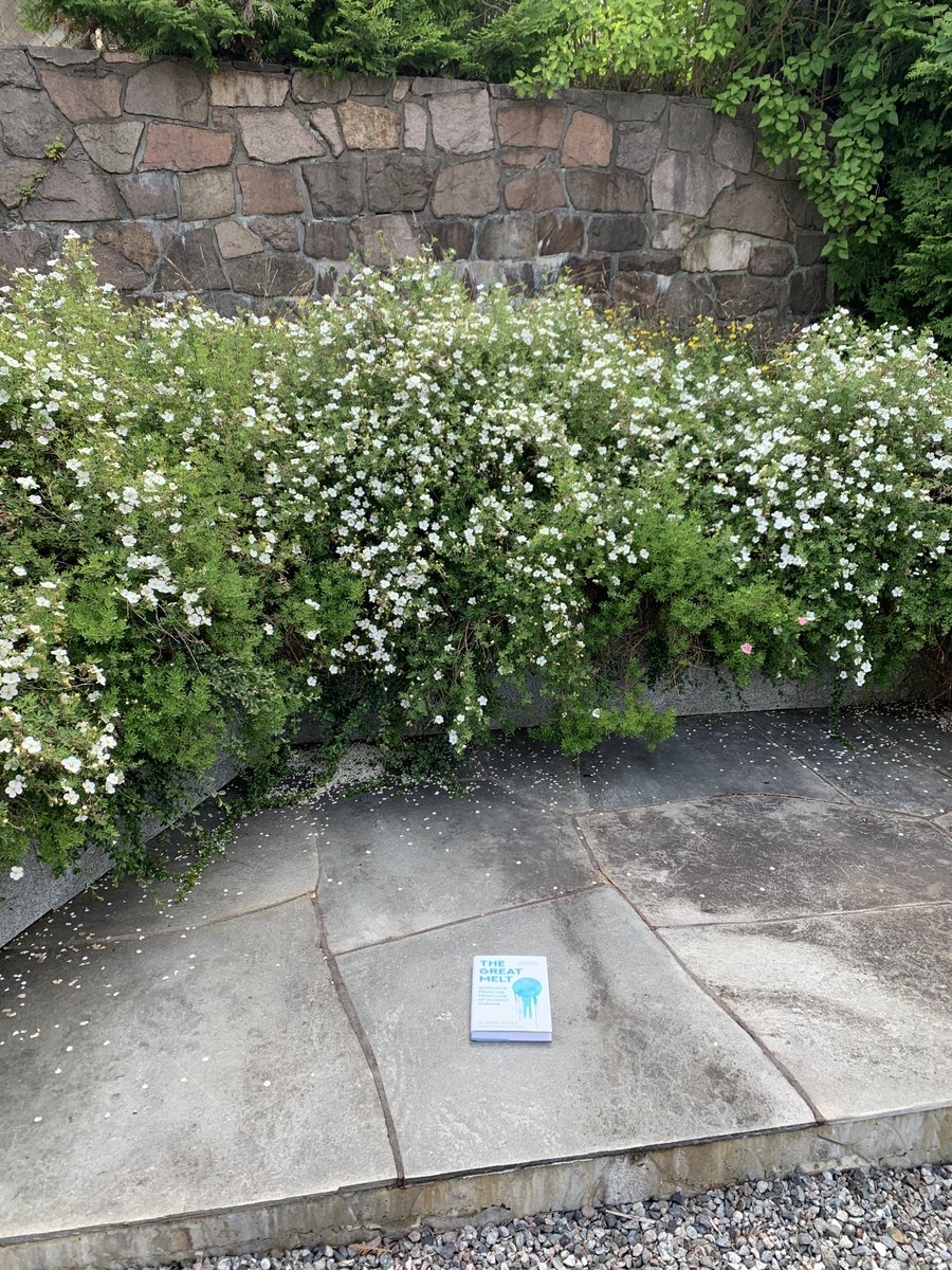 alister doyle (@alisterdoyle) on Twitter photo With sweltering temperatures in Europe, spare a thought for the coldest parts of the world: my book "The Great Melt" shows how the heat is pushing up sea levels (left: snowman in January, right: today) earthbound.report/2021/10/18/boo… <a href="/flint_books/">Flint Books</a> <a href="/claregt/">Clare Grist Taylor</a> <a href="/JodeVries1/">Jo de Vries</a> With sweltering temperatures in Europe, spare a thought for the coldest parts of the world: my book "The Great Melt" shows how the heat is pushing up sea levels (left: snowman in January, right: today) earthbound.report/2021/10/18/boo… <a href="/flint_books/">Flint Books</a> <a href="/claregt/">Clare Grist Taylor</a> <a href="/JodeVries1/">Jo de Vries</a>