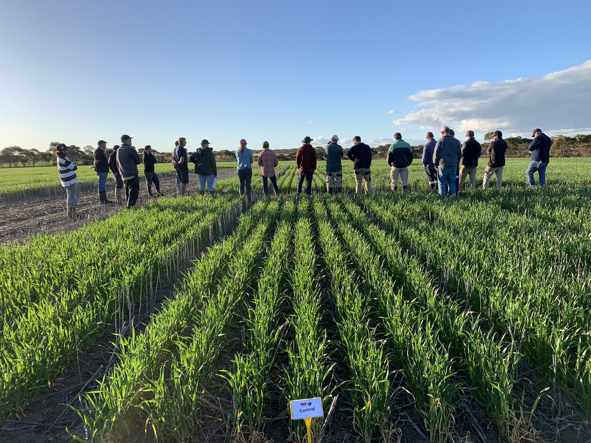 Monica Field tweet media