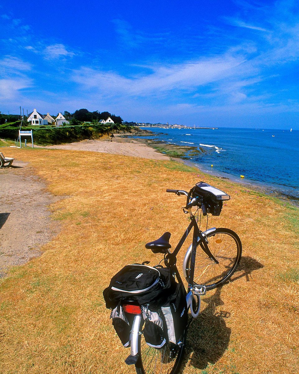 ⭐️ Loire Valley ⭐️

#Cycle through picturesque countryside, charming villages and indulge in delicious food and wine.

🚲 part of our group tours!

Visit the website to find out more! 

#LoireValley #travel #travelmore #lovetotravel #Europe #Cycling #Cyclingholidays #cyclingtrip
