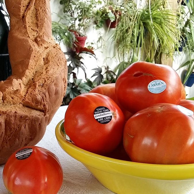 Estrenamos perfil en esta red social!! Síguenos para más info sobre nuestro tomate Huevo Toro del Guadalhorce. <a href="/diputacionMLG/">Diputación de Málaga</a> <a href="/SaboraMalaga/">Sabor a Málaga</a> <a href="/AgriculturAnd/">Consejería AgriPesca</a>