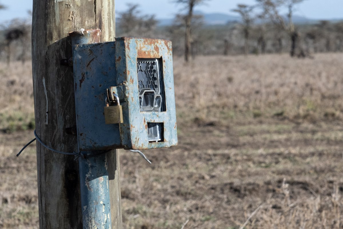 WILDLABSNET's tweet photo. We’re excited to announce the return of Tech Tutors! This season will have a special regional focus highlighting our East Africa community's biggest “How do I do that?” questions of conservation tech with practical #tech4wildlife tutorials.https://t.co/SGgMlLSoyb https://t.co/Ttk2uBiZCX