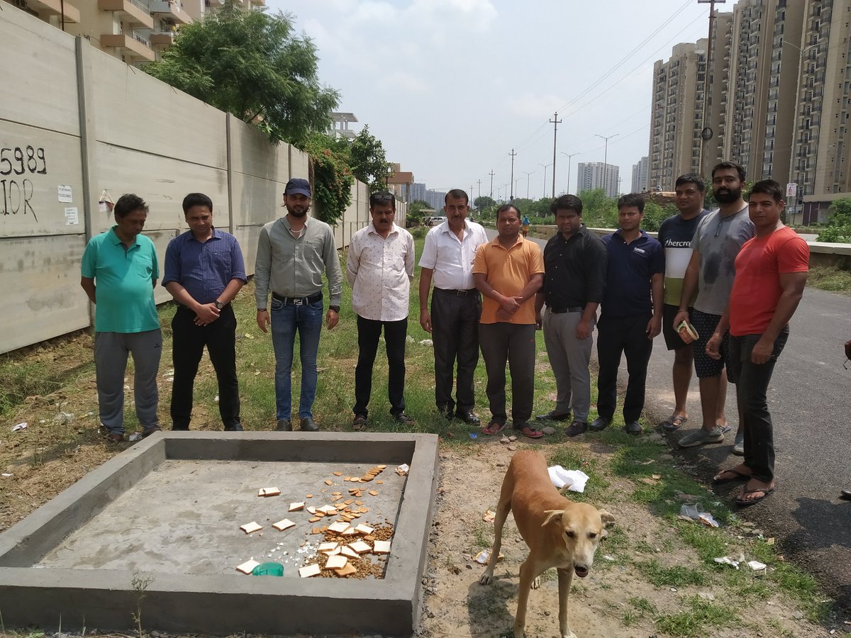 Feeding Point for Stray Animals Inaugurated today at Gate No 2, EV-2 with help of Facility Team, Good Initiative taken and more under process. @Supertechltd @nefowaoffice @eco_village1 @ev3family @AjnaraHomes @Greens2society @NEFOMAncr @GaurCityCitizen @CeoNoida @dmgbnagar