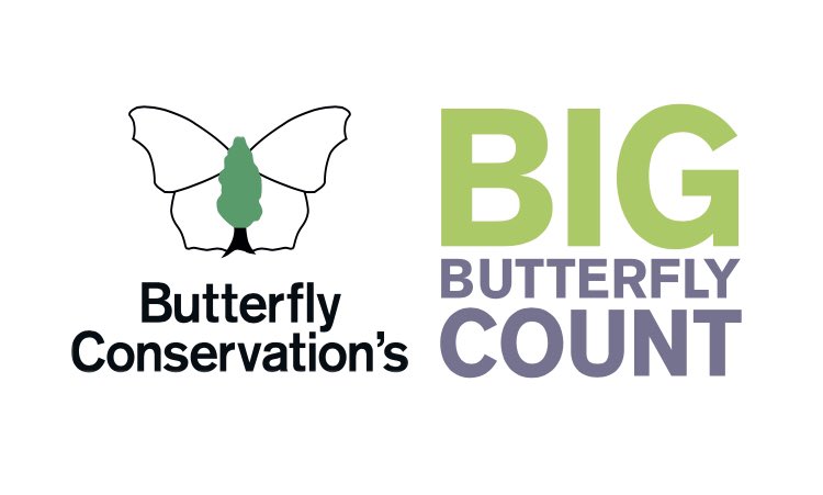 The #BigButterflyCount 🦋 is on. This UK-wide survey by <a href="/savebutterflies/">Butterfly Conservation 🦋</a> aims to assess the health of our #environment simply by counting the amount &amp; type of #butterflies (&amp; some day-flying #moths) you see Great fun for all the family
…erflycount.butterfly-conservation.org
#Scottish #nature