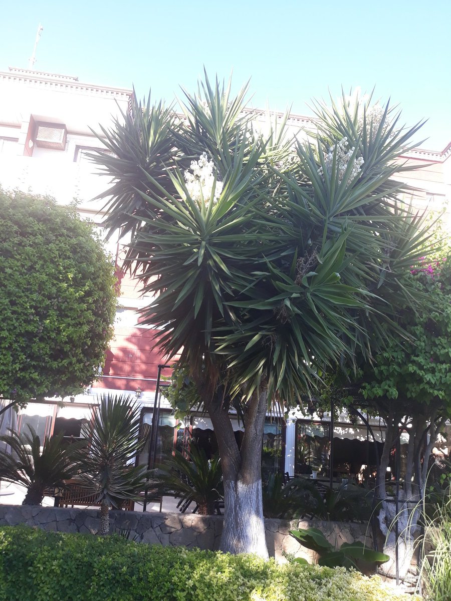 Girne bugün çok sıcak