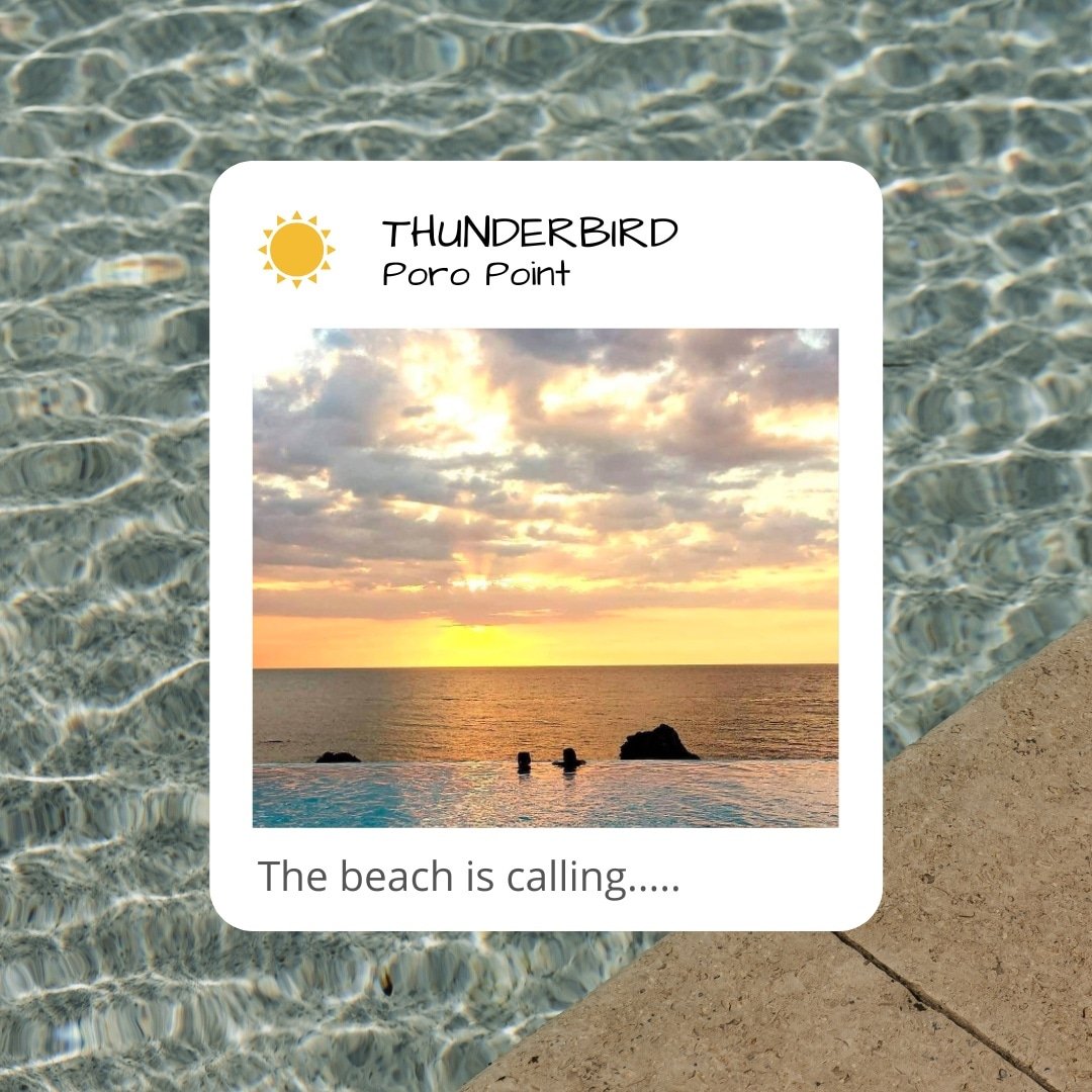 ThunderbirdPH's tweet photo. Need a sign to go to the beach? Well, this is it ☀️

Book your stay with us, click https://t.co/XpLIbkTpNO or contact us at:
📞 (072) 888-7777 / (072) 607-9800
📱 09171134876 / 09088158984
📤 pororeservations@thunderbird-asia.com

#thunderbirdresortsandcasinos #vacay https://t.co/jcEKNIUEhw