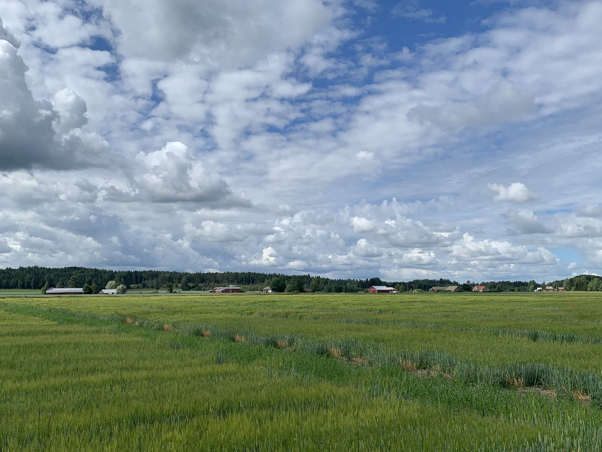 Yield_Systems's tweet photo. Lovely field day. https://t.co/X3yVRKBO2s