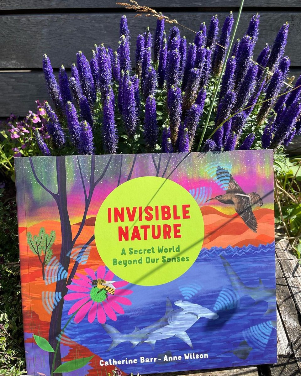 '@catherine_barr & @IllustrationAW team up again to produce a vibrant exploration of natural science that has been adapted by humans. Invisible Nature provides moments of awe and wonder each time it is read.” @imaginecentre 🔗 Grab a copy here: otterbarrybooks.com/books/invisibl…