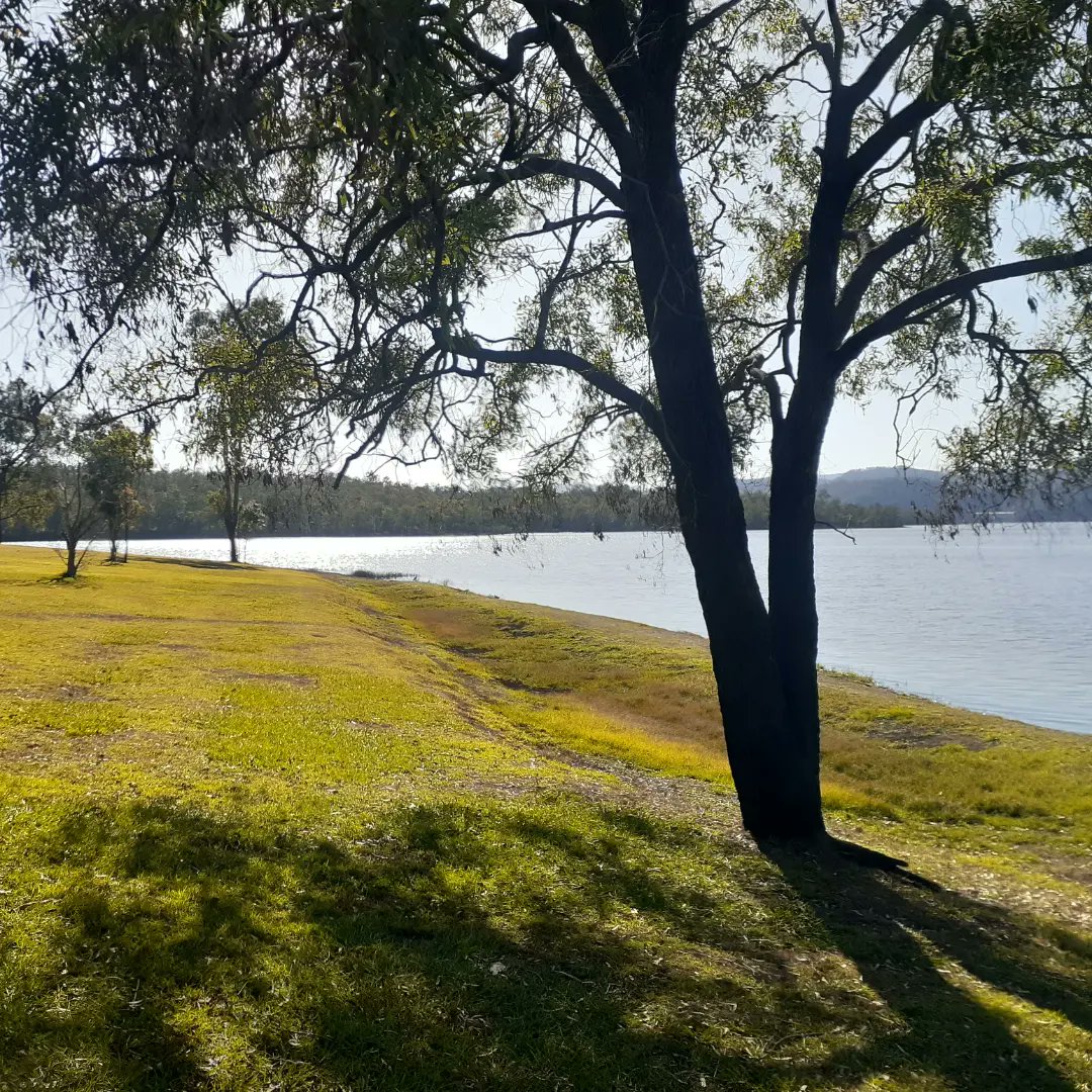KennedCafe's tweet photo. Sparkling morning sunshine over Lake Wivanhoe - a beautiful spot to visit, near Esk in Queensland https://t.co/9uoVX5lDuR