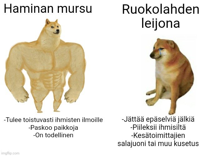 Chad Mursu vs. Ruokolahden leijona