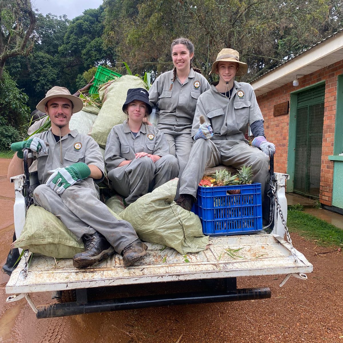 camp_uganda's tweet photo. #TeamMputa spent the day cleaning enclosures and preparing food. Working with birdsπ¦ and reptiles π¦. They've had an excellent day and really enjoyed themselves π#dosomethingamazing @CampsInt #campseffect https://t.co/E3Wcvss4Lb