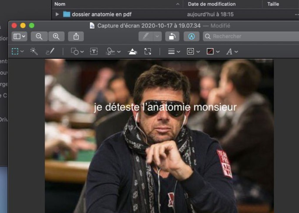 LE KARMA tweet media