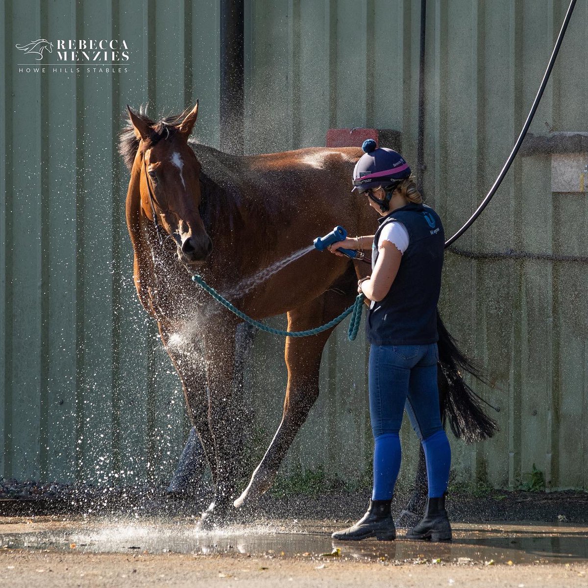 RebeccaEMenzies's tweet photo. Nothing like a cool shower in this heat #hot #heatwave #coolshower #cooldown #teammenzies #stablelife #horse #racehorse https://t.co/tyv21J41Ja