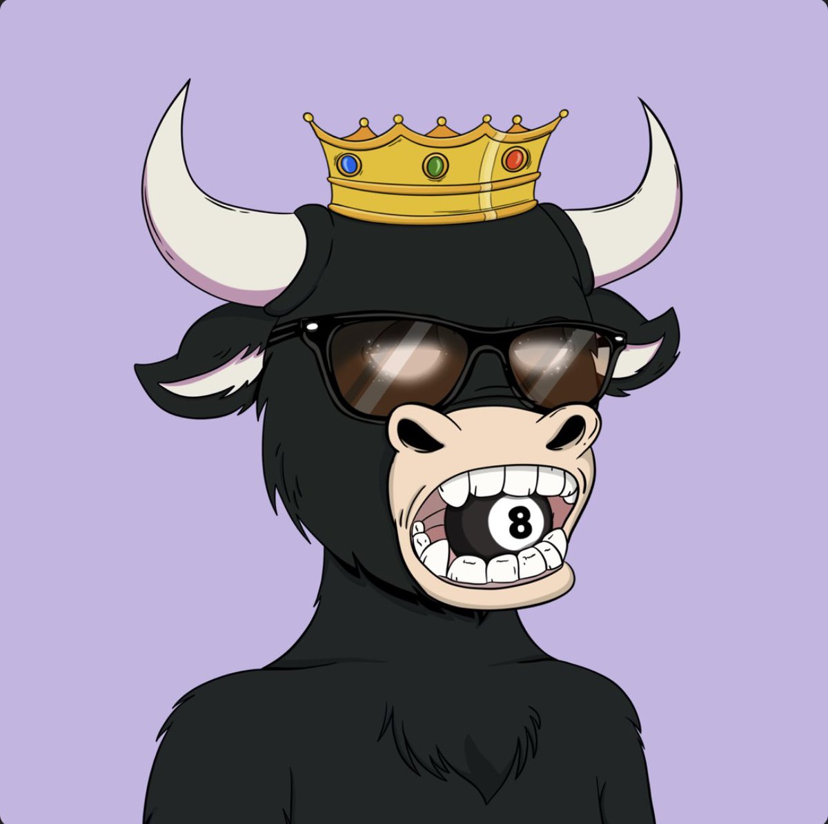 SolCollector.NFT tweet media