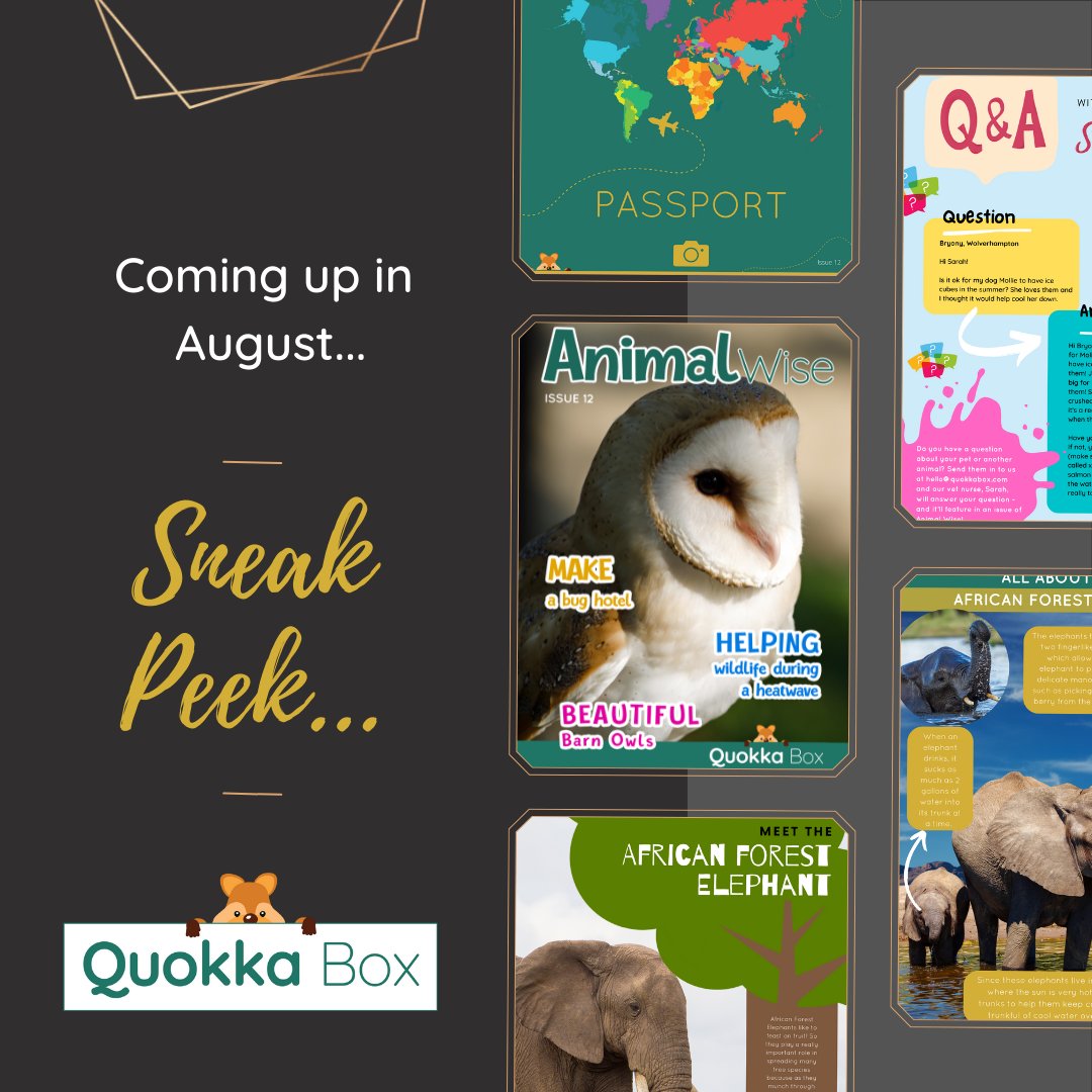 We're busy putting the final touches to the August Quokka Box subscription, so here's a sneak peek into what's coming up next month...

You can still sign up in time to join the August mailing list - just head to our website quokkabox.com

#quokkabox #childsubscription