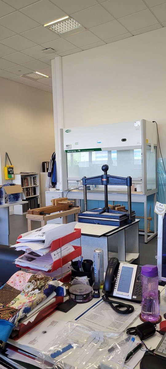 ARA_PCG's tweet photo. Show us your #ConservationStudio Lydia Stirling! @stirling_lydia works at the wonderful Glamorgan Archives @GlamArchives in this HUGE and bright studio space. That map wall and those hanging sockets are fab! https://t.co/bxebS0kdXM