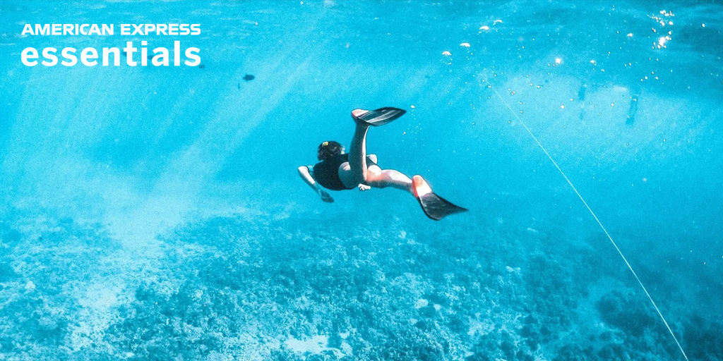 American Express Essentials tweet media