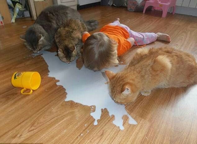 Ya senin ne işin var orda ahshhdk