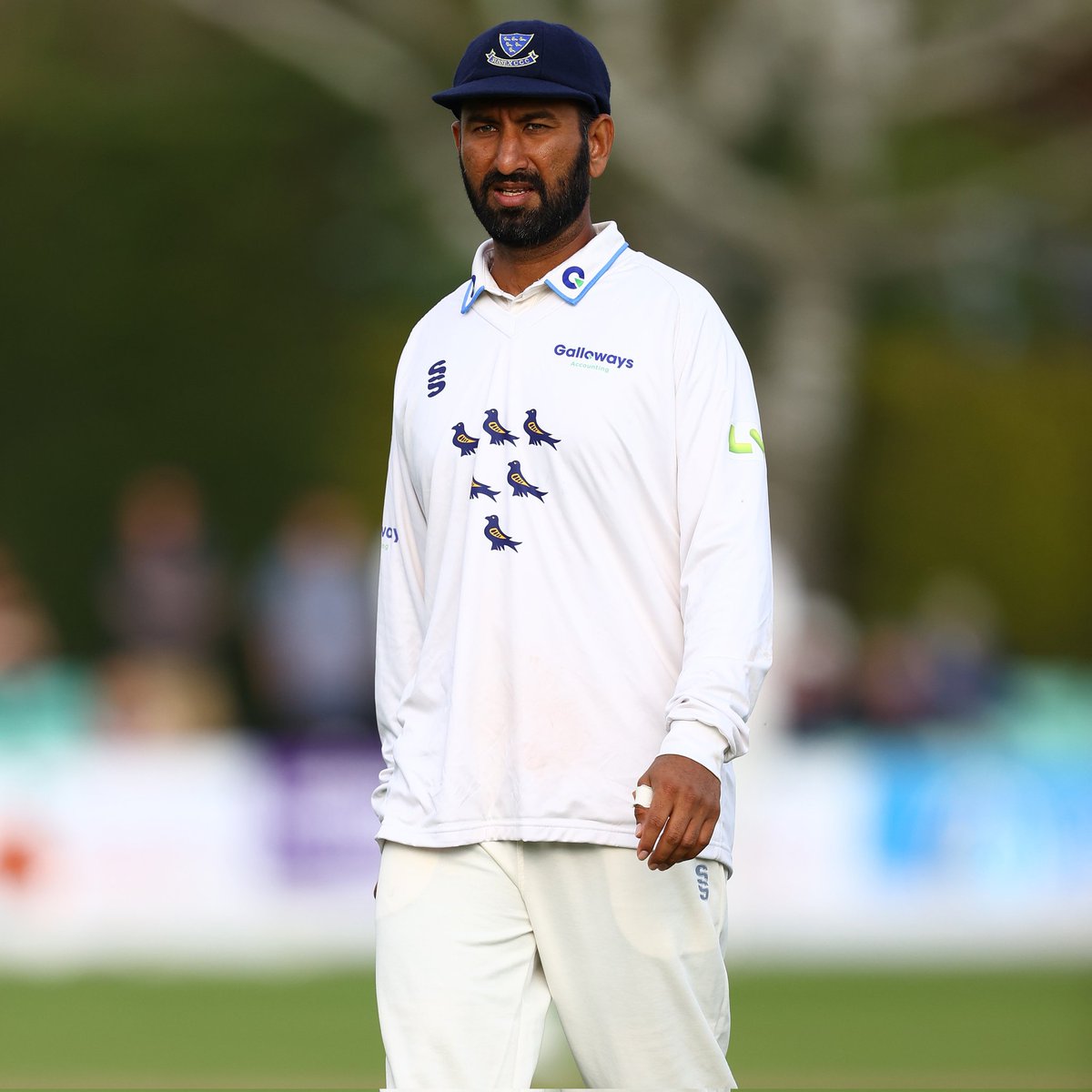 🚨 Breaking 🚨

Cheteshwar Pujara will be the stand in captain of Sussex following Tom Haines injury in the county match today against Middlesex 🏏

#cheteshwarpujara #sussexcricket #CricketTwitter