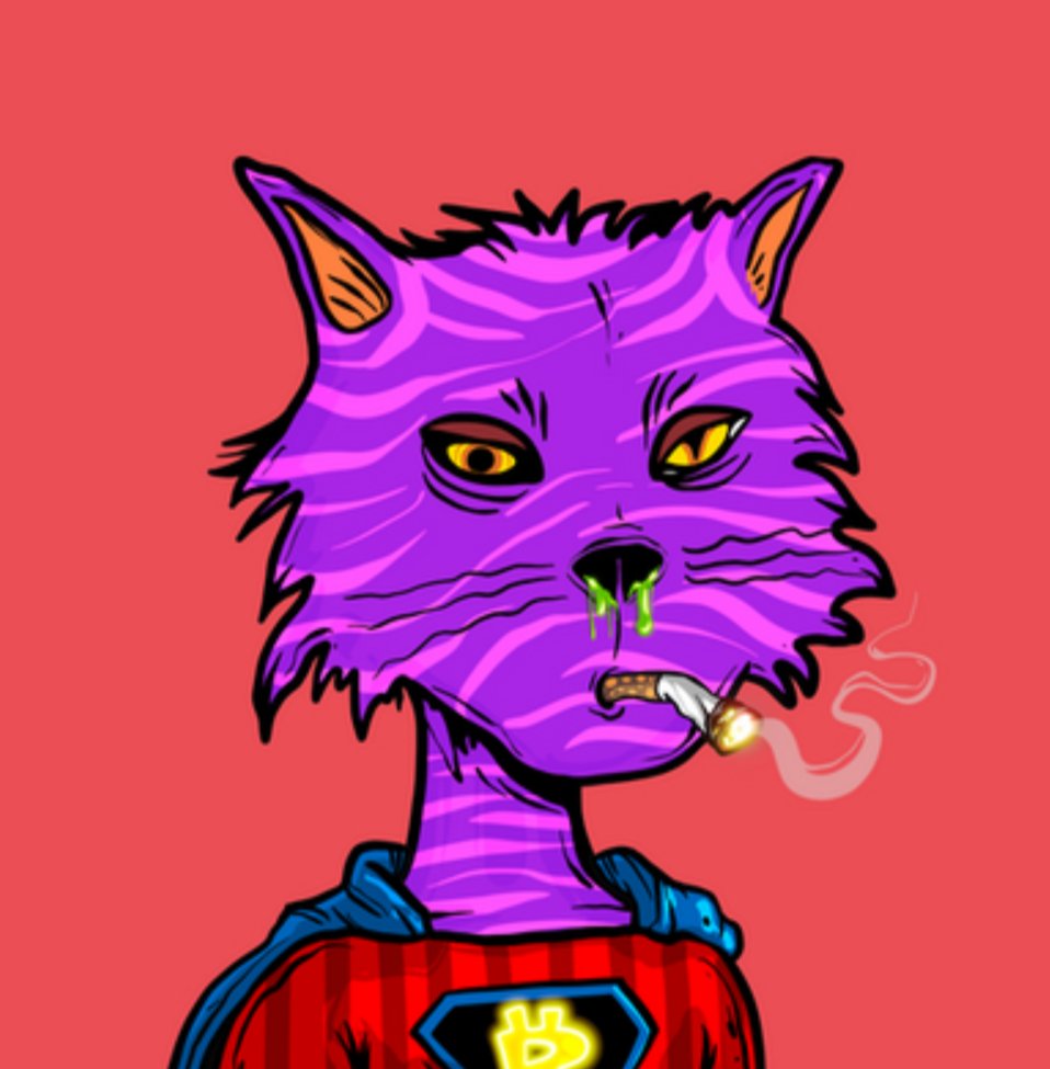 NF3 STIR-FRY tweet media