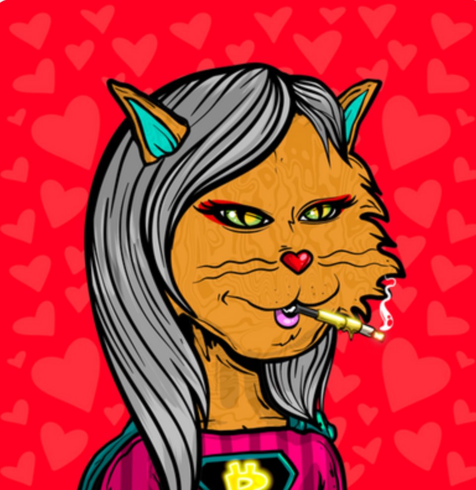 NF3 STIR-FRY tweet media