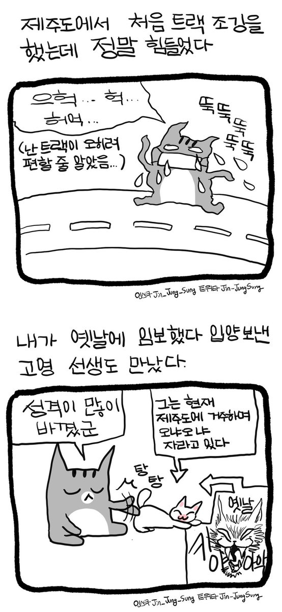 제주도 여행일기 #뚝뚝만화데일리 