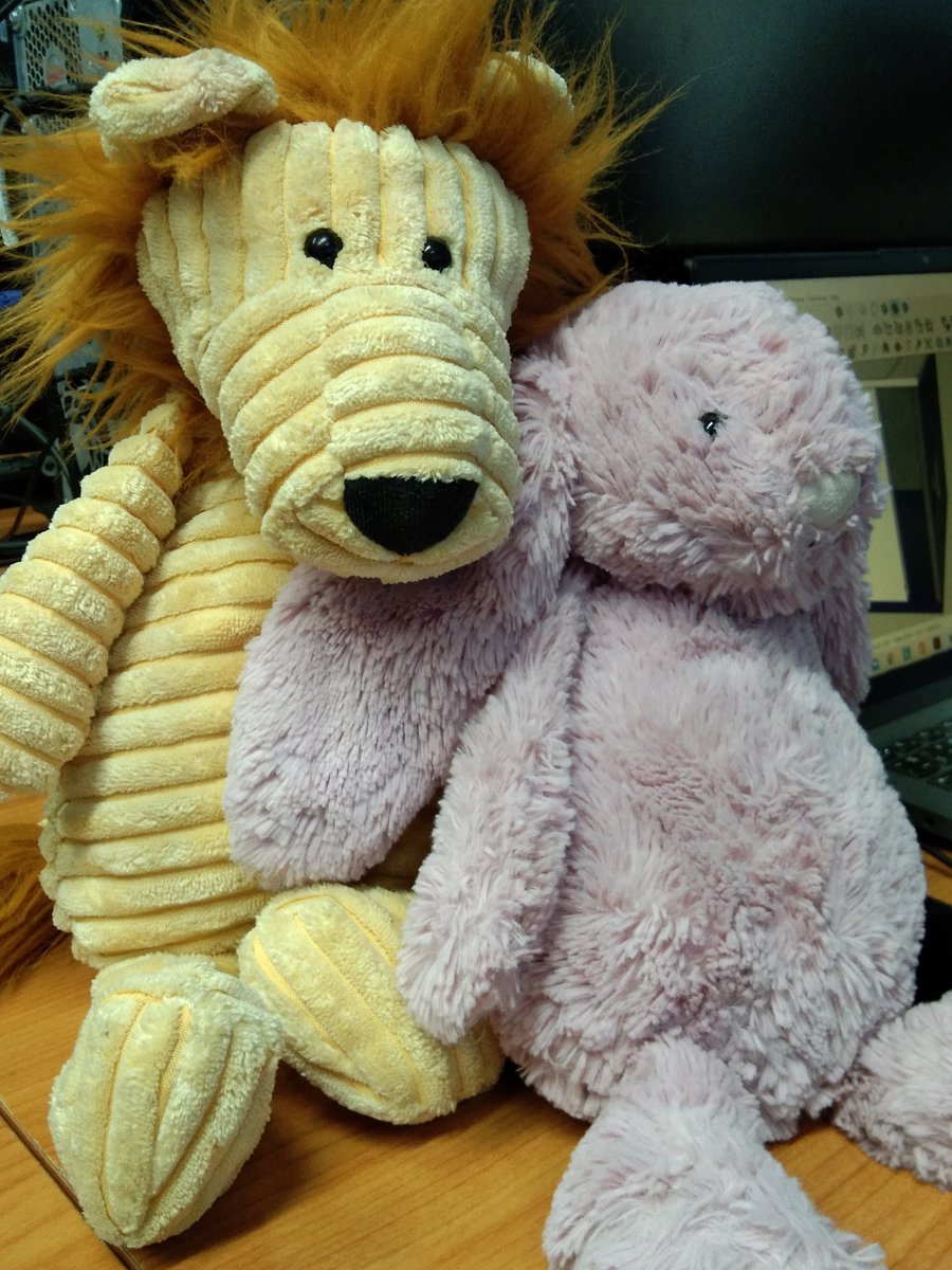 ได้รับน้องแล้วนะครับ เด็กๆน่ารักมากครับ #rwkalaleewon