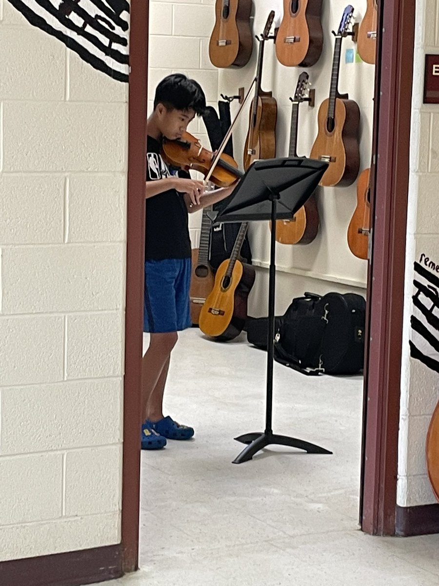 GV Orchestra tweet media