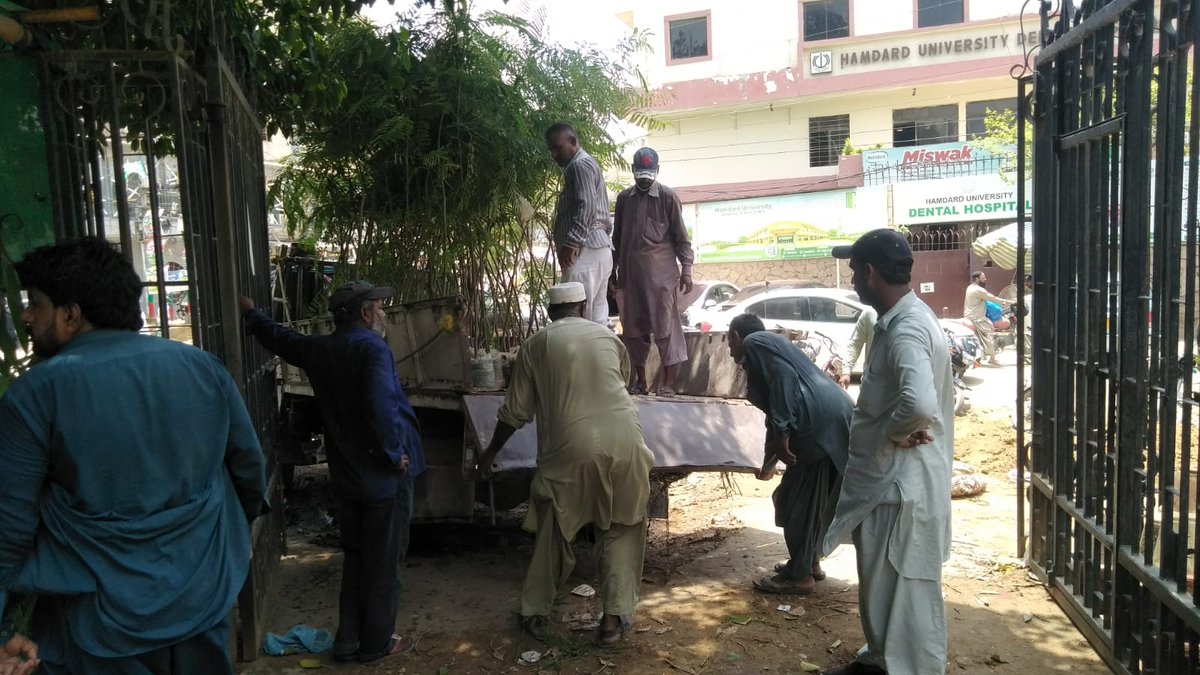 FGRFEnvironment's tweet photo. KMC staff loading 100 Gulmohar Plants from FGRF nursery of aprox 6 feet height for Plantation at Mai Kolachi. #GreenPakistanInitiative #1AugFGRF

@KmcPakistan @murtazawahab1 https://t.co/ETyNMEcGjK