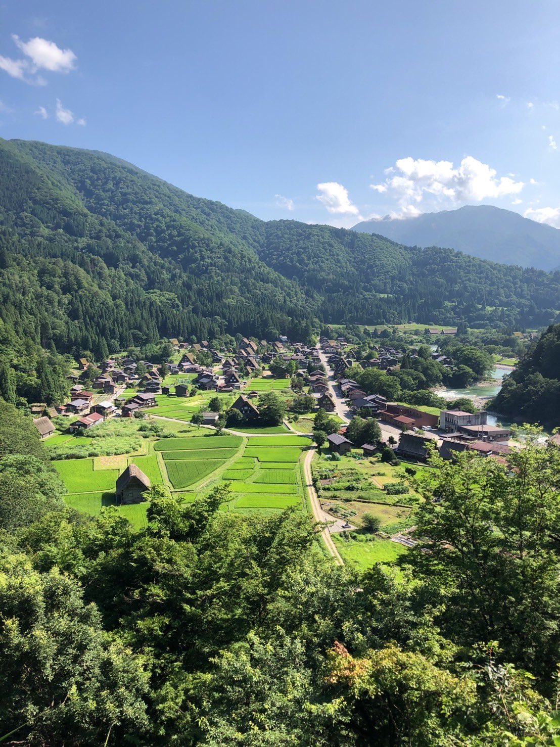 あの夏の日の光 白川郷 ひぐらしのなく頃に 島みやえい子