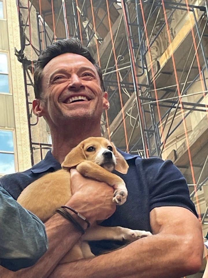 We hope you don’t mind us sharing another cuteness overload pic from Broadway Barks but this beauty was shared by one of our followers on our Facebook post and we just felt it needed to brighten your day too 🥰

#hughjackman #broadwaybarks #puppylove 

📸 Lisa Helferty-Malcolm