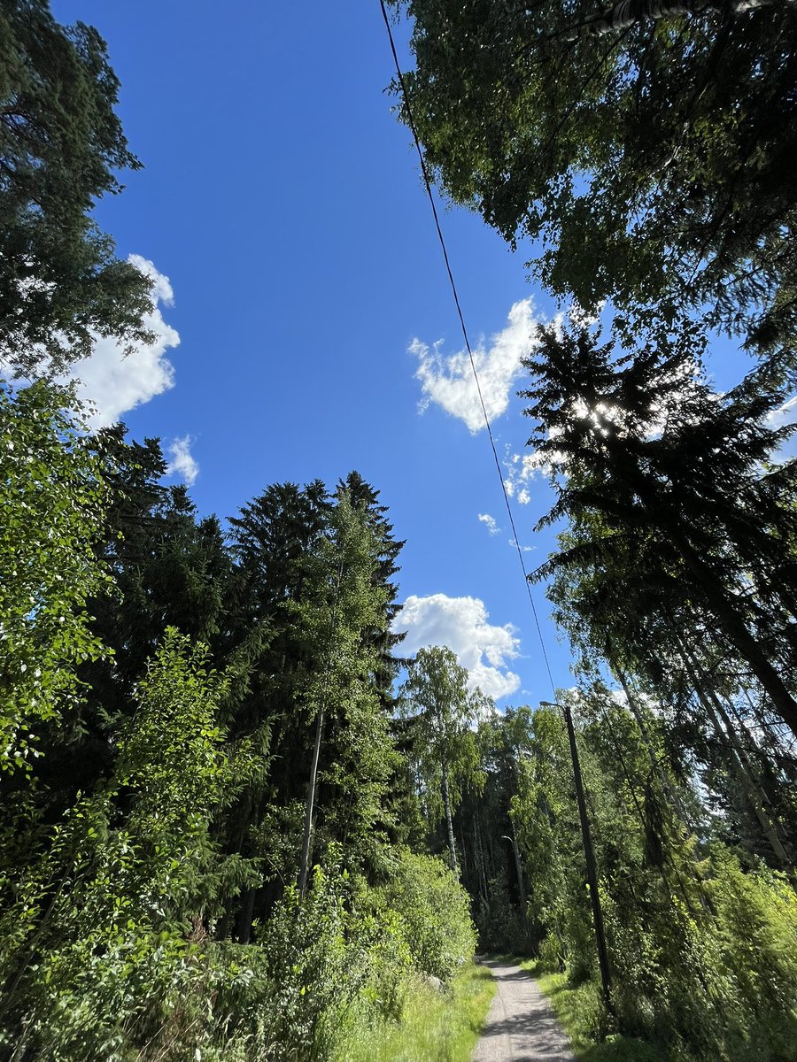 JukkaPartanen3's tweet photo. An easy #run - 10 comfortable km/6+miles #running #streetrunning #streetphotography #landscapephotography #naturephotography #ThePhotoHour #channel169 #ランニング #training #finland #july #photography #urbanphotography https://t.co/pDCFFg8fx2