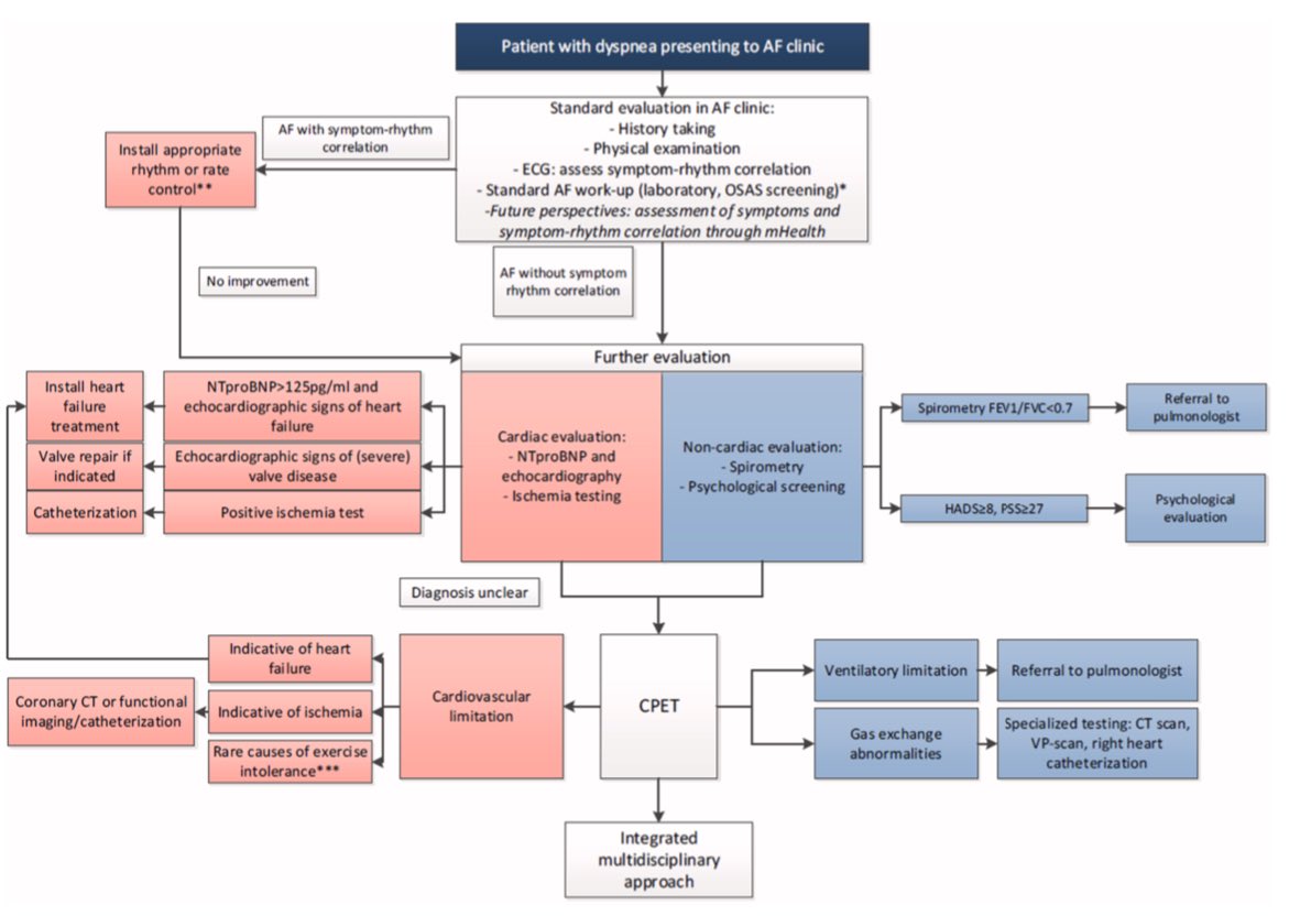 Dominik Linz (@dominik_linz) on Twitter photo #EPeeps
#Dyspnea in #AFib 😮💨
👉🏻Up to 2/3 of #AF pts complain of dyspnea
👉🏻Dyspnea is not always an #AF related symptom
👉🏻Multiple mechanisms
👉🏻Interdisciplinary and integrated care approach
<a href="/RachelvdVelden_/">RachelvdVelden</a> <a href="/J_Hendriks1/">Jeroen Hendriks</a> <a href="/Elliott_AD/">Adrian Elliott</a>
bit.ly/3uXcIEU <a href="/IJC_Heart_Vasc/">International Journal of Cardiology Heart&Vasc</a> #EPeeps
#Dyspnea in #AFib 😮💨
👉🏻Up to 2/3 of #AF pts complain of dyspnea
👉🏻Dyspnea is not always an #AF related symptom
👉🏻Multiple mechanisms
👉🏻Interdisciplinary and integrated care approach
<a href="/RachelvdVelden_/">RachelvdVelden</a> <a href="/J_Hendriks1/">Jeroen Hendriks</a> <a href="/Elliott_AD/">Adrian Elliott</a>
bit.ly/3uXcIEU <a href="/IJC_Heart_Vasc/">International Journal of Cardiology Heart&Vasc</a>