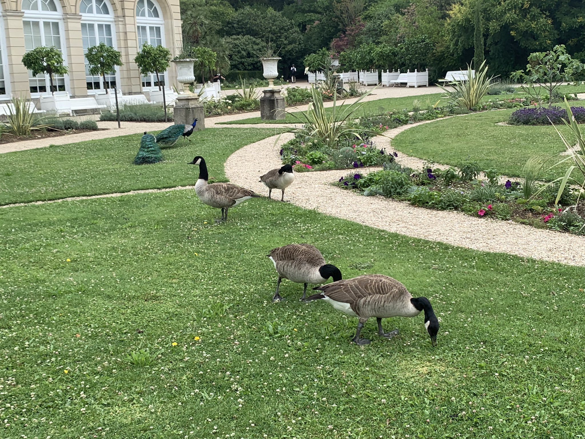 福田 優花 Yuka Fukuda Yuka Fukuda Twitter