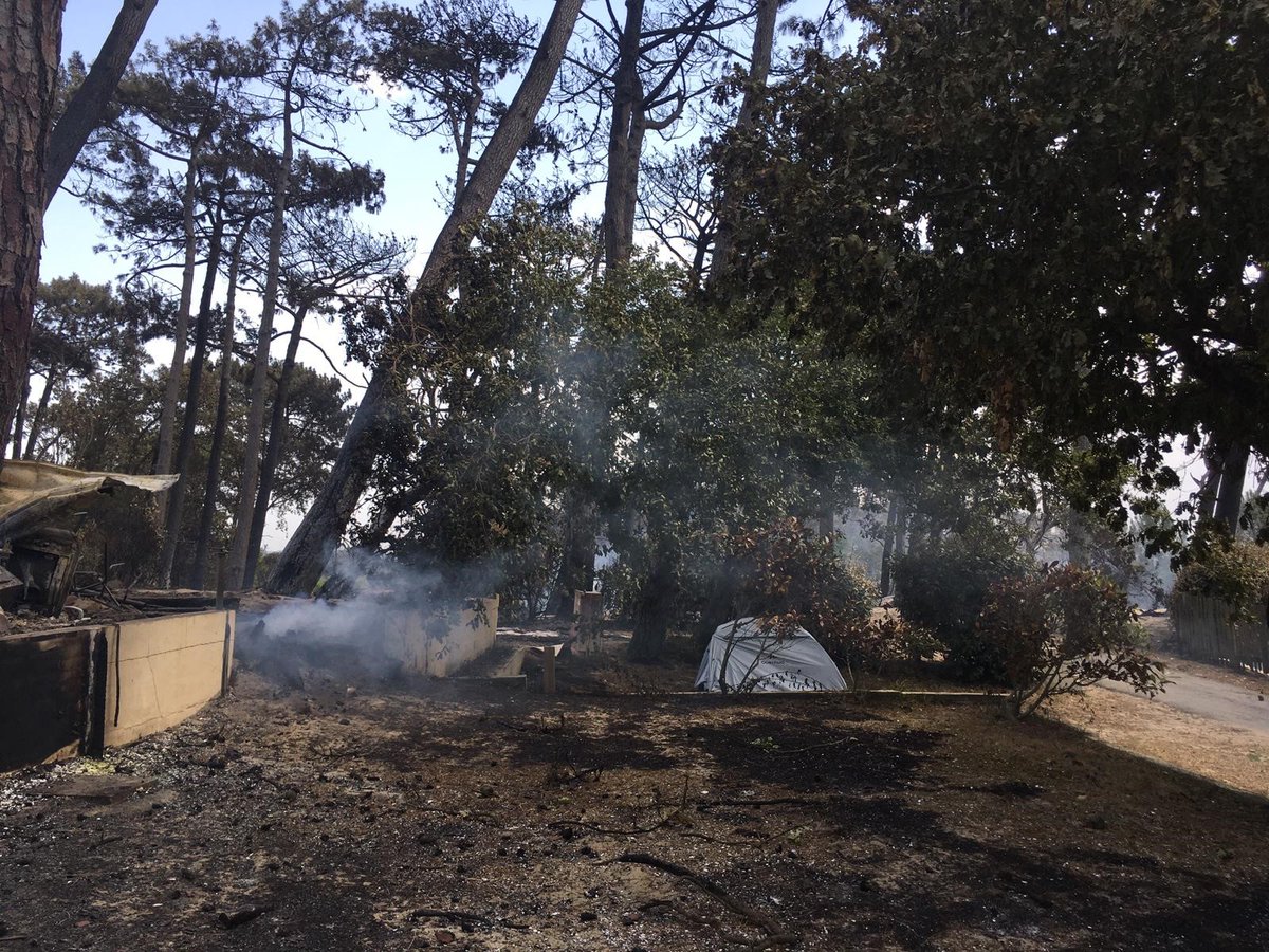 F3Aquitaine's tweet photo. 🔥 Cinq campings du secteur de La Teste-de-Buch ont été ravagés par l'#incendie qui continue de progresser ce mardi. Parmi eux, le mythique camping de la Dune, plus connu sous le nom de #campingdesflotsbleus. Il a été détruit à 90%. 
@gironde 
#LaTestedeBuch 
📷 : Hélène Chauwin https://t.co/nWKKQDpeQW