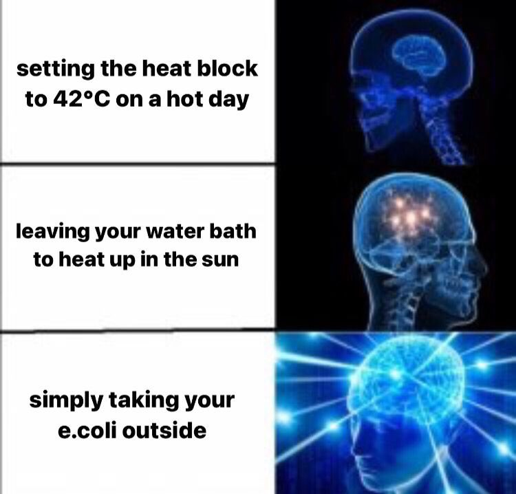 Only fair that I too get heat shocked today