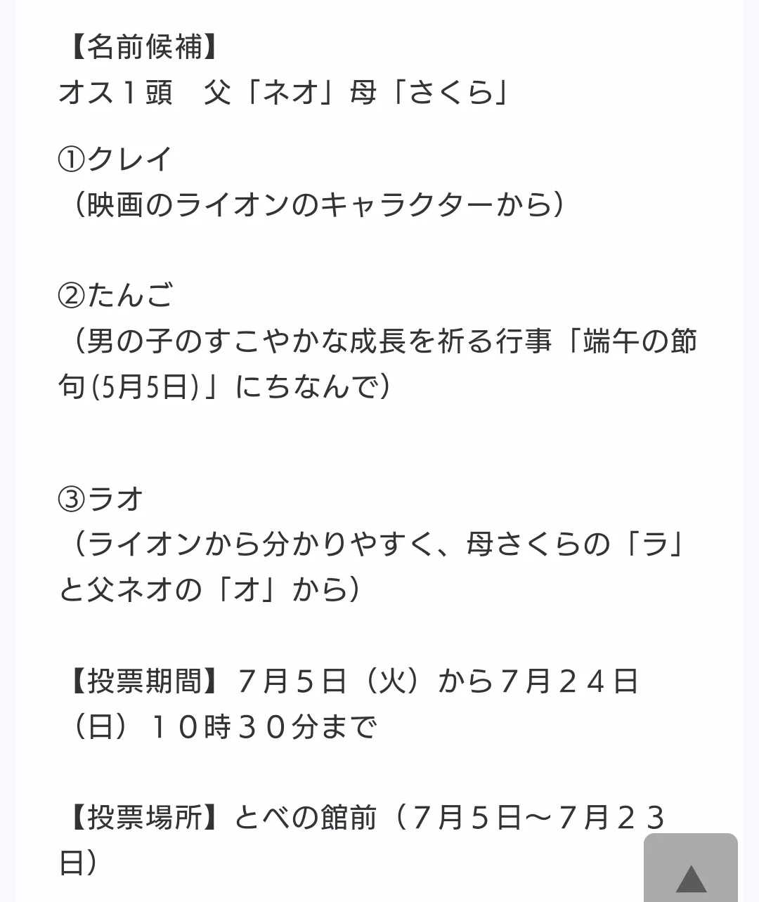 赤ちゃんライオンのお名前候補に
クレイ！！！/  