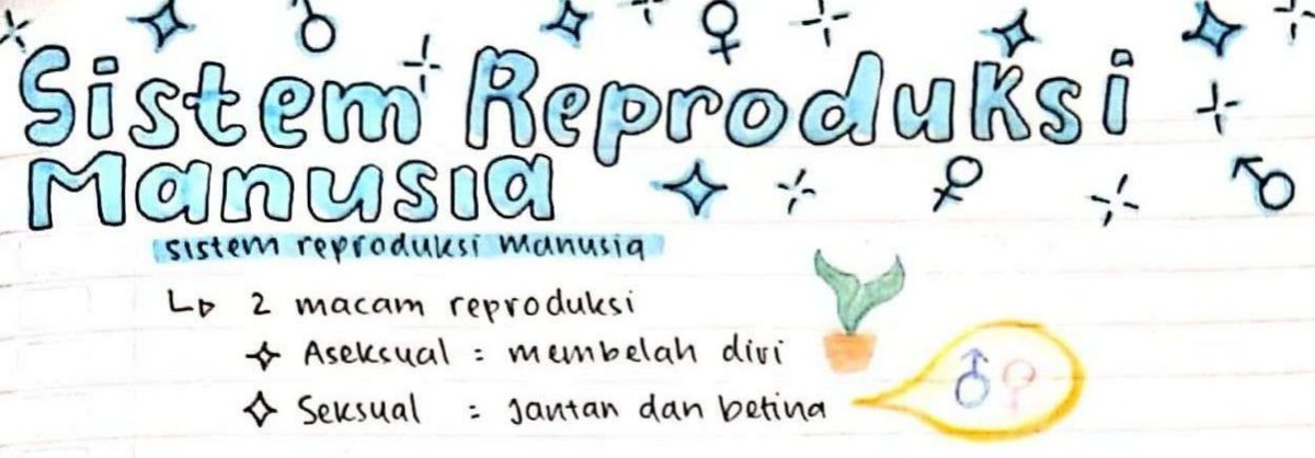 lxaaa__0's tweet photo. .•° 🗓️[190722] °•. 
📚lexxa study progress📝
Hellow moots>.< udh 1 Minggu lebih gak up study progress, karena MPLS, belum belajar jugaa, Minggu ini baru mulai, dan rasanya kepala meledak. IPA MTK dalam 1 hari, 1 bab selesai Semangat semuanyaa!

[#studytwt #studyspo #AMBISVERSE] https://t.co/HgECymOcdt