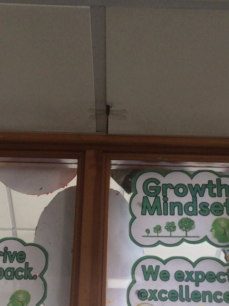 Even the wildlife needed a place to cool off! We were happy to oblige.