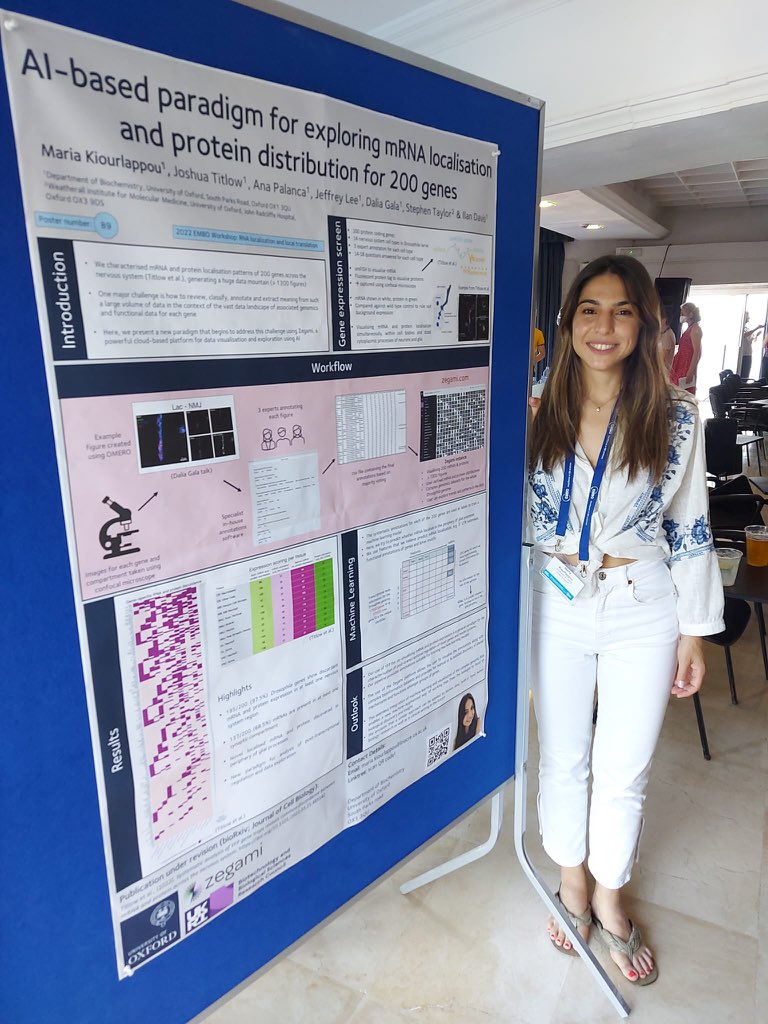 kiourlappou's tweet image. So excited to be presenting a poster at #EMBOrnalocalization @EMBOevents. Discussing the data from our recent preprint and the use of machine learning to predict localization of RNA in the Drosophila nervous system! @ilandavislab @ilandavis - thanks @dalia_science for the pic!