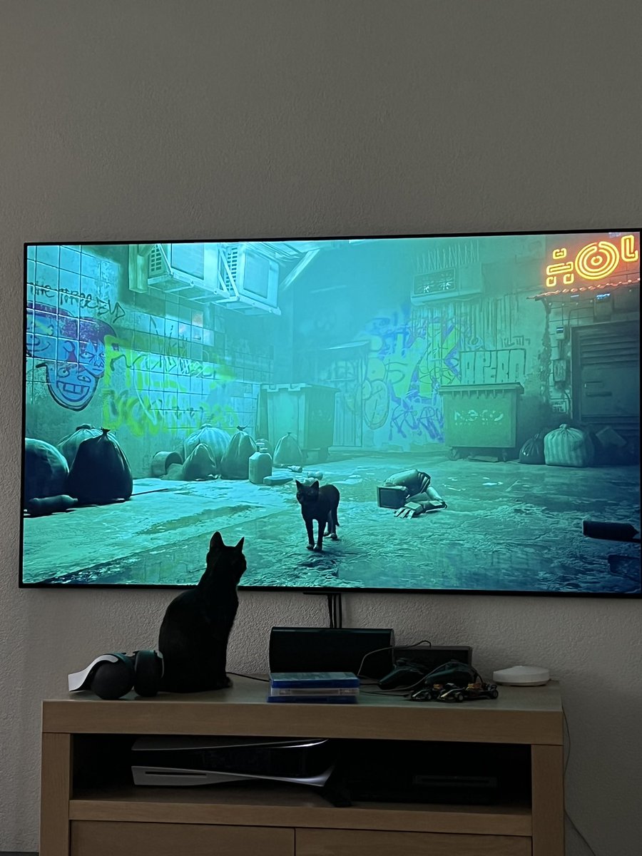 Morphthecat1's tweet photo. Baasje speelt Stray op de PlayStation en ik vind dat mega interessant 😻 #ps5 #Stray #kitten #CatsOfTwitter https://t.co/uu9vfKDH9C
