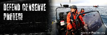 SeaShepNorCal's tweet photo. Support Sea Shepherd Global https://t.co/rxhs4idNeq https://t.co/cYguBbaWB1