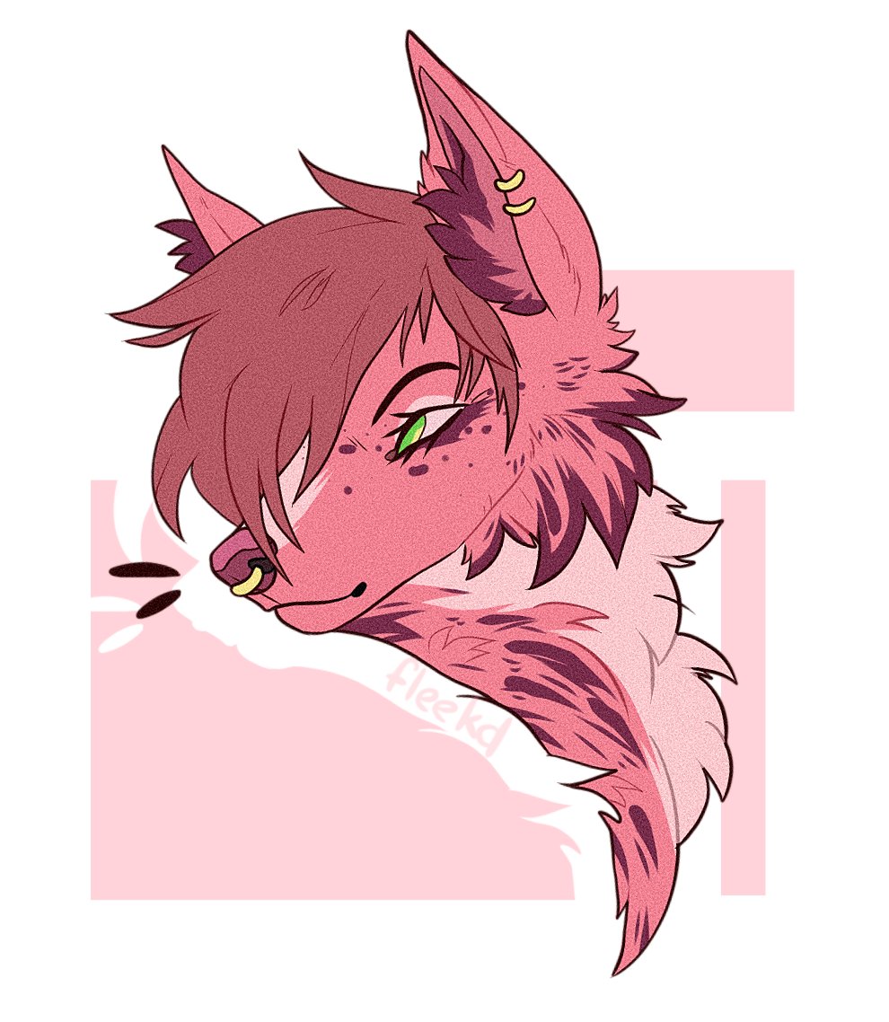 On_fleekd's tweet image. more AF