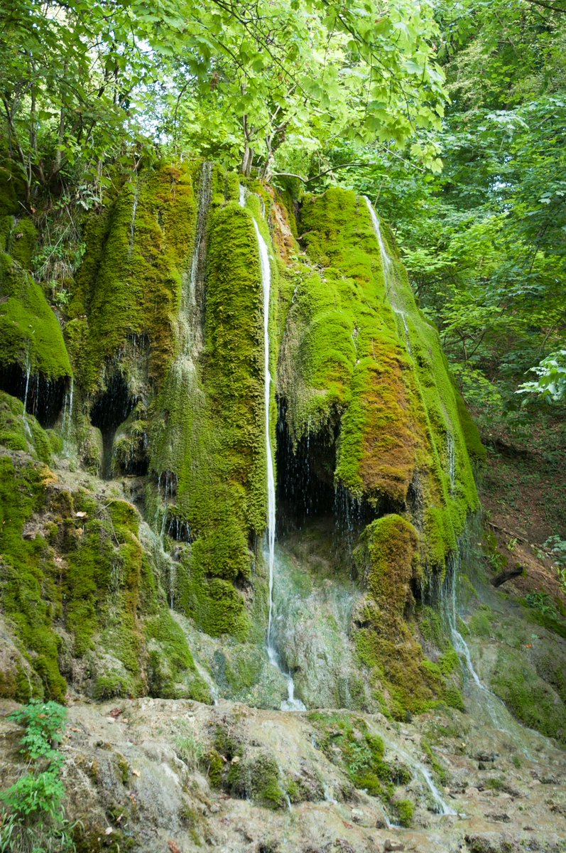 ExperienceAZE's tweet photo. #MamirliWaterfall is one of the natural gems of #Gakh in north-west #Azerbaijan. It’s hidden within a lovely forest on the edge of the historic village of #Lekit and to reach it you need to walk for about 30 minutes along a forest footpath - don’t miss it! https://t.co/OWz5uAE2Rk