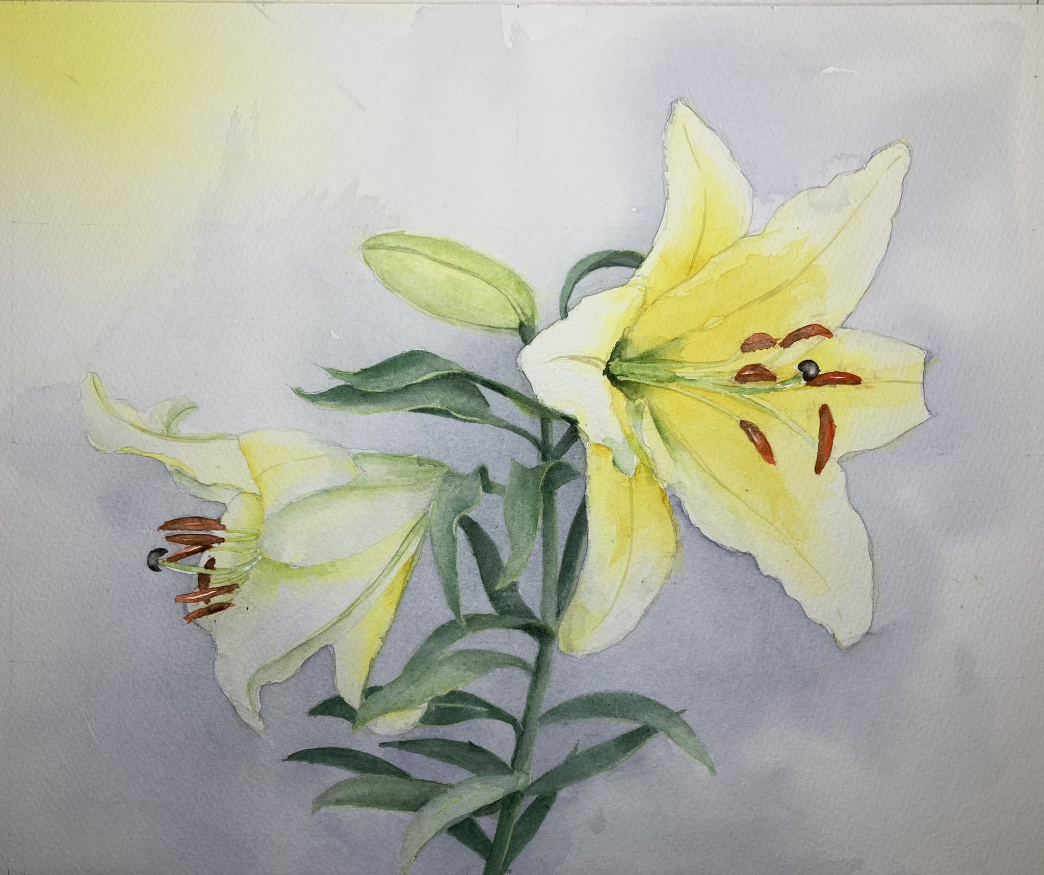 ユリの花 油彩画 金色フレーム F4 ユリの花 油彩画 金色フレーム F4 - メルカリ