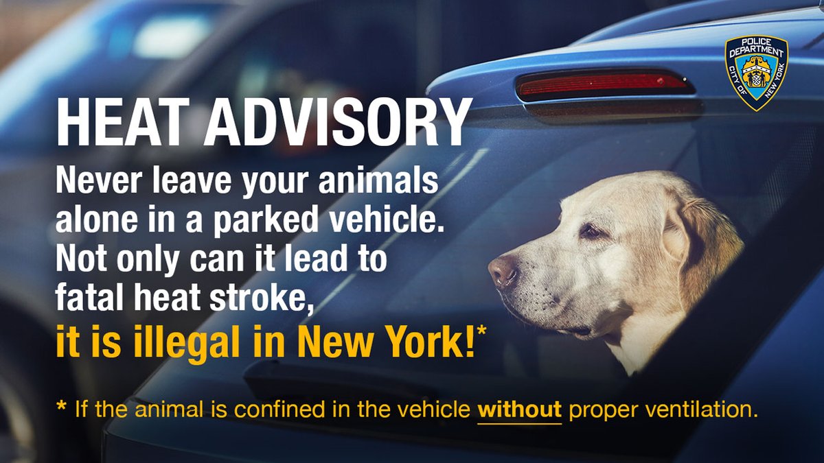 🌡️ HEAT ADVISORY: Be sure to keep your pets safe as temperatures rise in NYC!