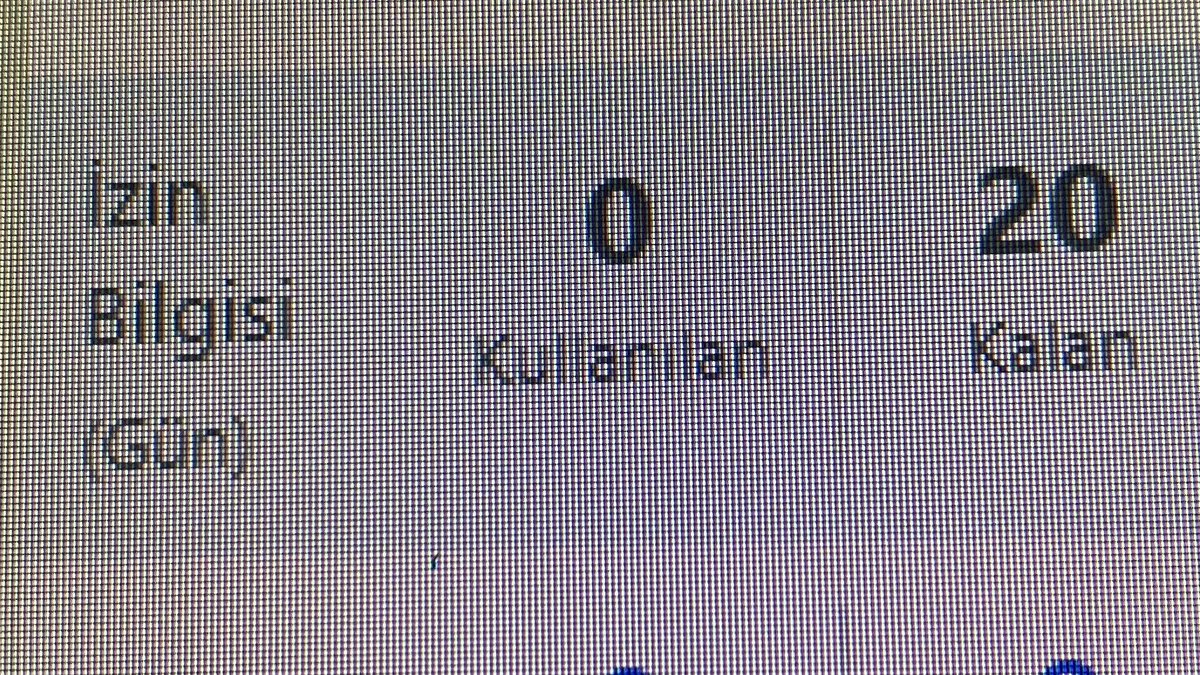 Görselin güzelliği