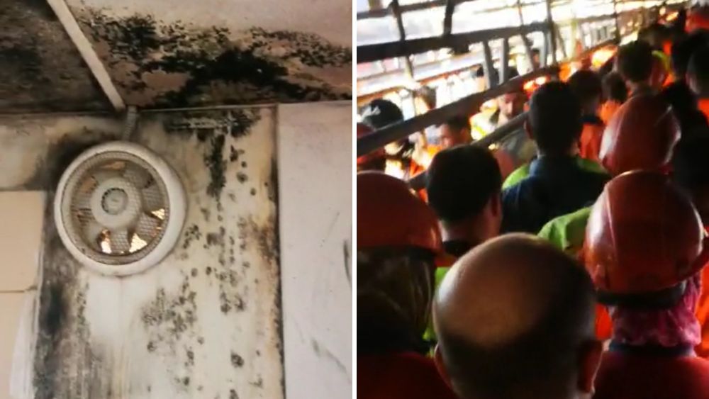 📢Yamata Yatırım’da işçiler hakları verilmeden işten çıkarılıyor!

🔴Rusya’nın en büyük doğalgaz tekeli olan Gazprom Şirketi şantiyesinde çalışan işçiler yüklenici firma olan Yamata Yatırım tarafından hakları ödenmeden tek tek işten çıkarılıyor.

👇
patronlarinensesindeyiz.org/2022/07/19/yam…