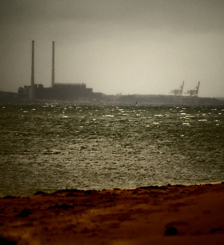 GLAN | Global Legal Action Network tweet media